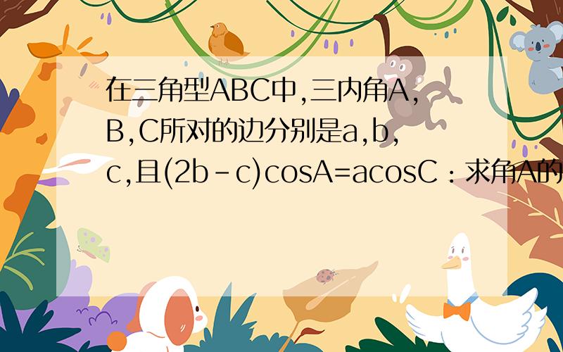 在三角型ABC中,三内角A,B,C所对的边分别是a,b,c,且(2b-c)cosA=acosC：求角A的大小