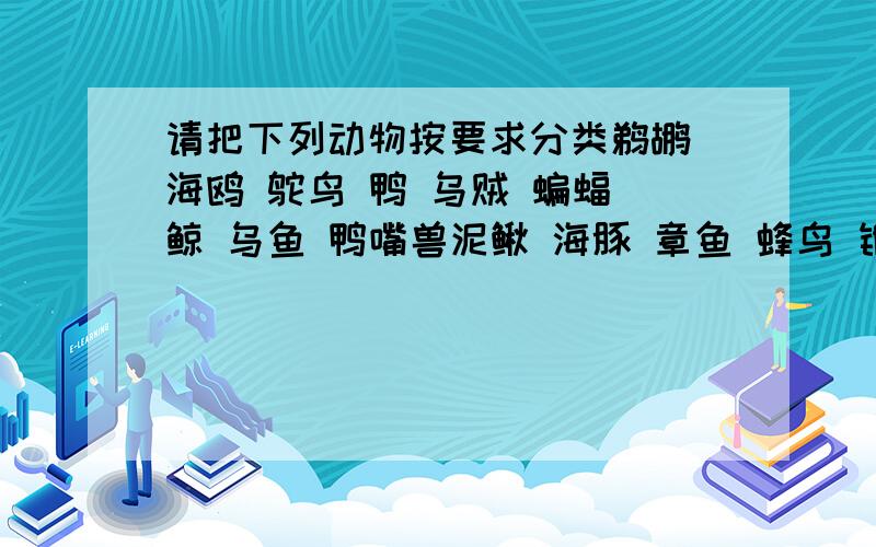 请把下列动物按要求分类鹈鹕 海鸥 鸵鸟 鸭 乌贼 蝙蝠 鲸 乌鱼 鸭嘴兽泥鳅 海豚 章鱼 蜂鸟 银鱼 企鹅 大熊猫 猴鱼类：鸟类：哺乳动物：（格式：鱼类：XX、XX、XX）