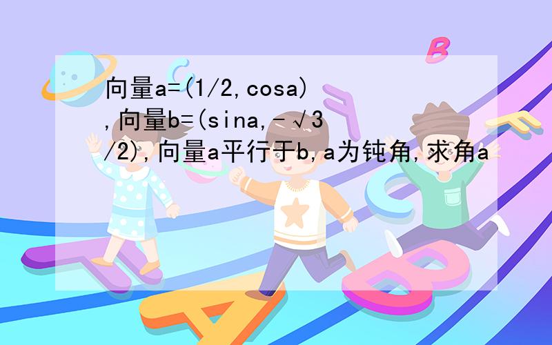 向量a=(1/2,cosa),向量b=(sina,-√3/2),向量a平行于b,a为钝角,求角a