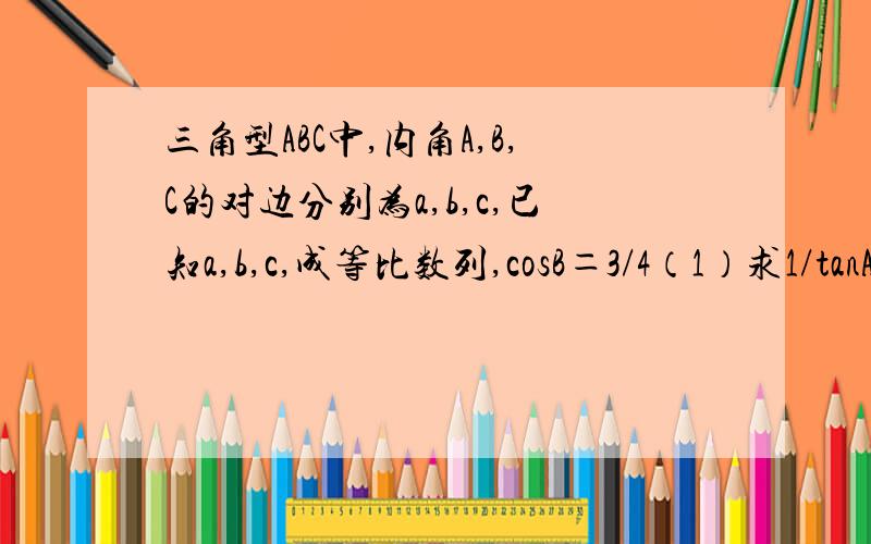 三角型ABC中,内角A,B,C的对边分别为a,b,c,已知a,b,c,成等比数列,cosB＝3/4（1）求1/tanA+1/tanB的值（2）设向量BA点乘向量BC＝3/2,求a＋c的值