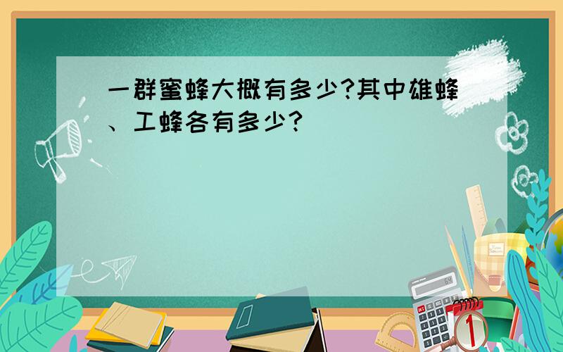 一群蜜蜂大概有多少?其中雄蜂、工蜂各有多少?