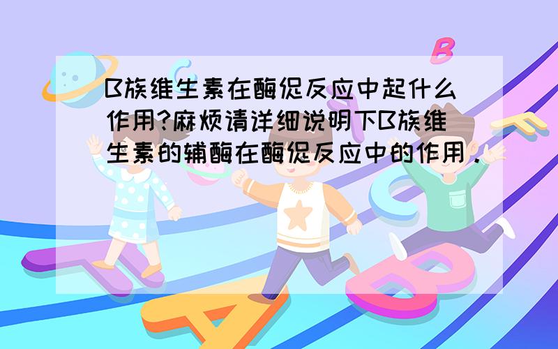 B族维生素在酶促反应中起什么作用?麻烦请详细说明下B族维生素的辅酶在酶促反应中的作用。