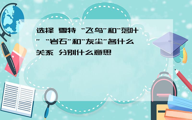 选择 雪特 “飞鸟”和“落叶” “岩石”和“灰尘”各什么关系 分别什么意思