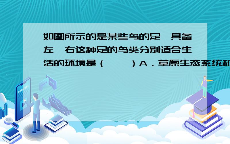 如图所示的是某些鸟的足,具备左、右这种足的鸟类分别适合生活的环境是（　　）A．草原生态系统和森林生态系统    B．森林生态系统和湿地生态系统    C．农田生态系统和湖泊生态系统