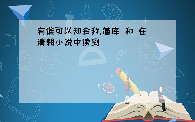 有谁可以知会我,藩库 和 在清朝小说中读到