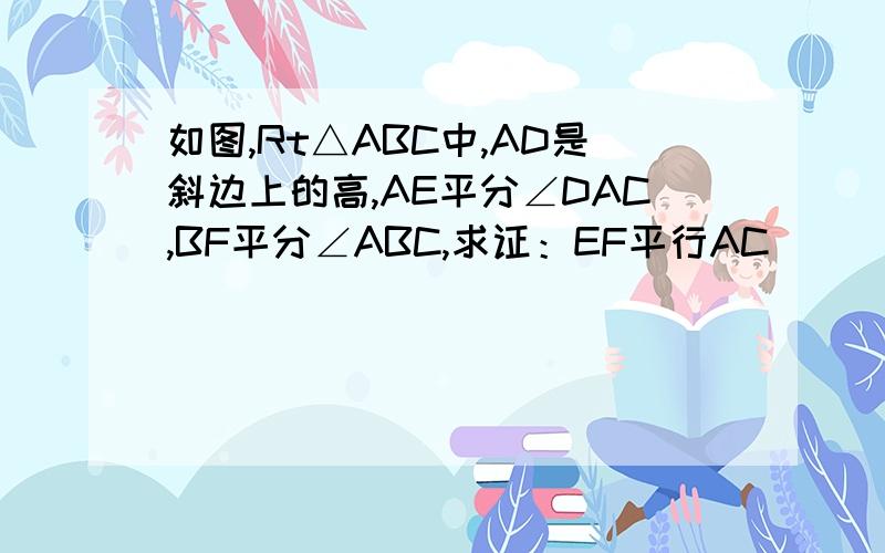 如图,Rt△ABC中,AD是斜边上的高,AE平分∠DAC,BF平分∠ABC,求证：EF平行AC