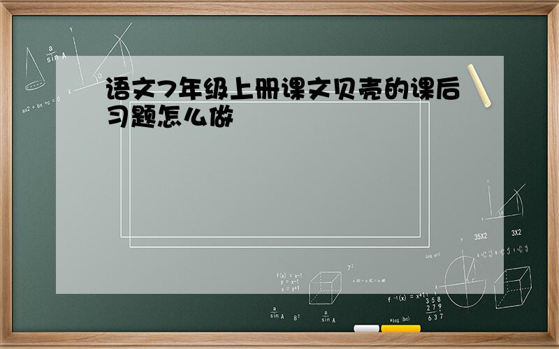 语文7年级上册课文贝壳的课后习题怎么做