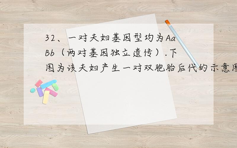 32、一对夫妇基因型均为AaBb（两对基因独立遗传）.下图为该夫妇产生一对双胞胎后代的示意图.下列有关叙述A．基因A与B（或b）、a与b（或B）随机组合发生在过程Y中B．甲胎儿基因型为AaBb的