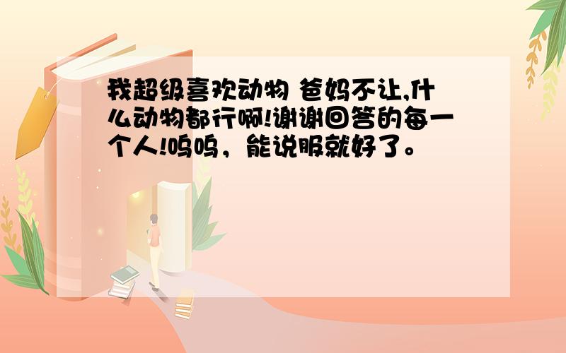 我超级喜欢动物 爸妈不让,什么动物都行啊!谢谢回答的每一个人!呜呜，能说服就好了。