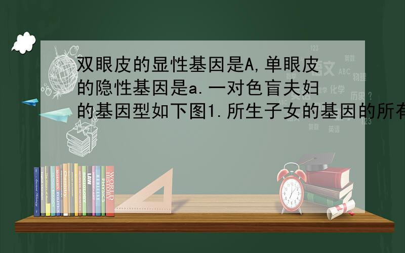 双眼皮的显性基因是A,单眼皮的隐性基因是a.一对色盲夫妇的基因型如下图1.所生子女的基因的所有组合2.所生儿子的基因的所有组合3.生儿子并是色盲的概率4.若生女儿,会不会是色盲5.所生子