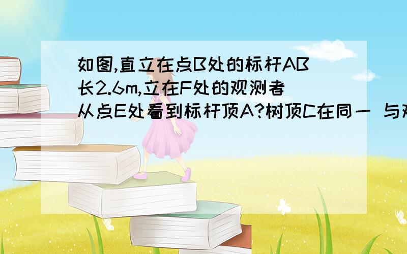 如图,直立在点B处的标杆AB长2.6m,立在F处的观测者从点E处看到标杆顶A?树顶C在同一 与观察点F在同一直线上,已知BD=10m,FB=3m,人目高EF=1.7m,求树高DC