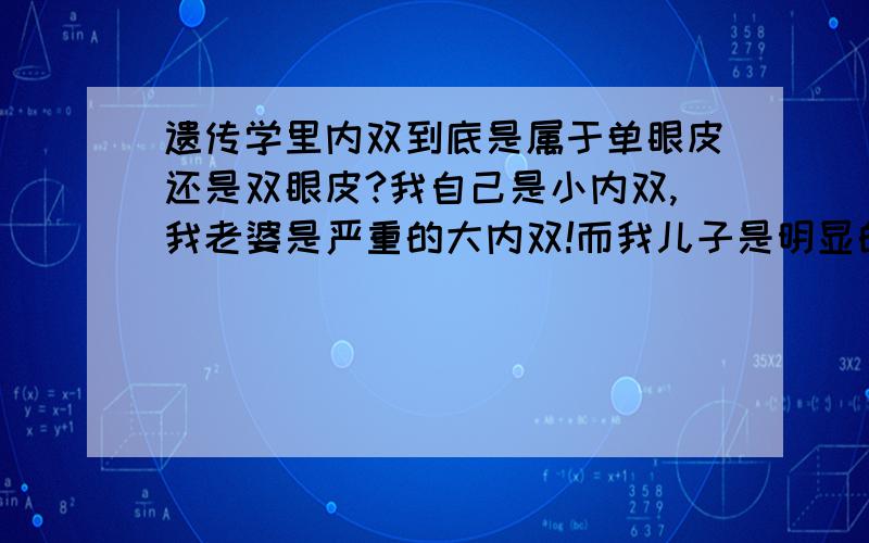 遗传学里内双到底是属于单眼皮还是双眼皮?我自己是小内双,我老婆是严重的大内双!而我儿子是明显的大双眼皮!我怀疑儿子不是我亲生的!请哪位专业人士给予我答案,