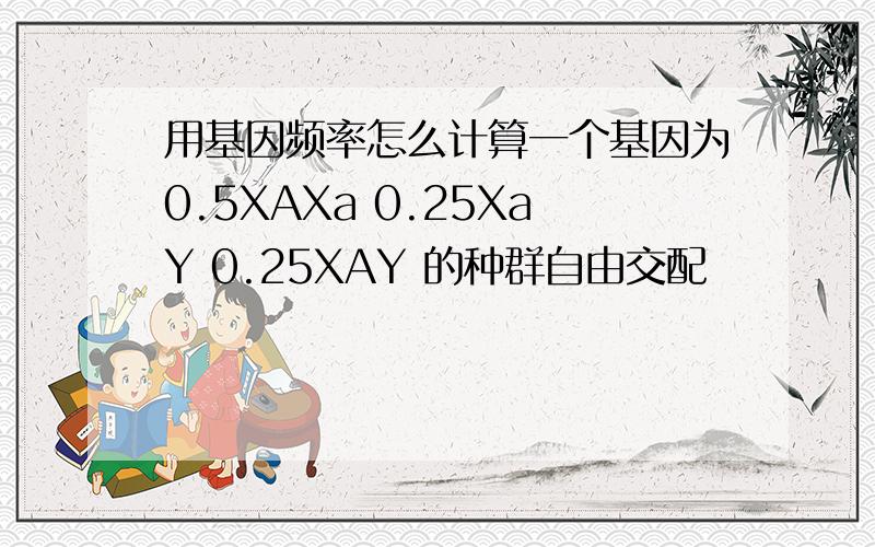 用基因频率怎么计算一个基因为0.5XAXa 0.25XaY 0.25XAY 的种群自由交配