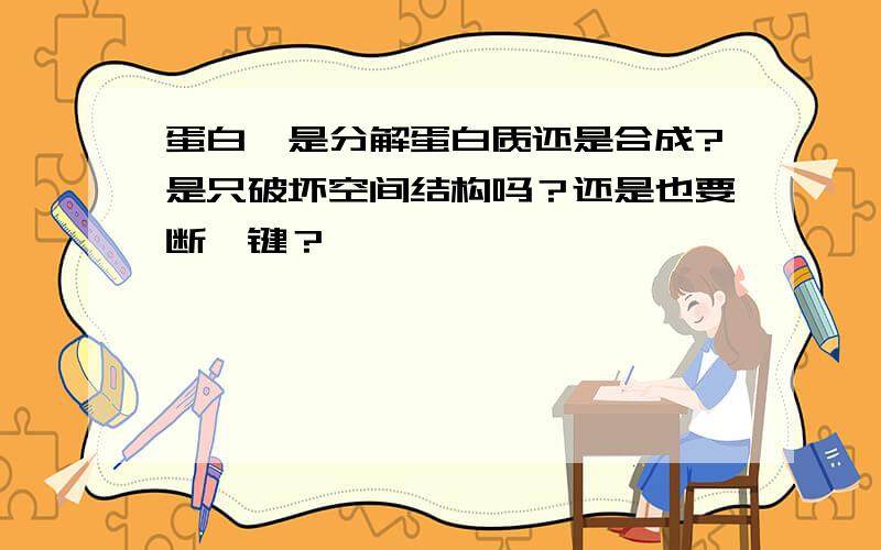 蛋白酶是分解蛋白质还是合成?是只破坏空间结构吗？还是也要断钛键？