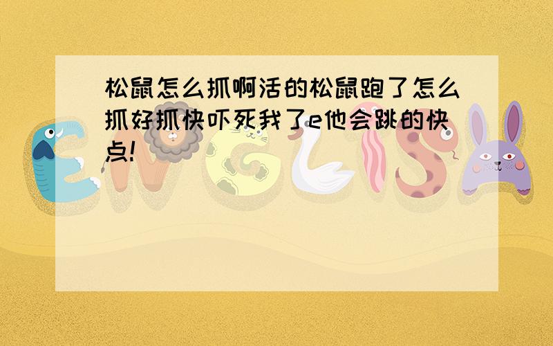 松鼠怎么抓啊活的松鼠跑了怎么抓好抓快吓死我了e他会跳的快点!