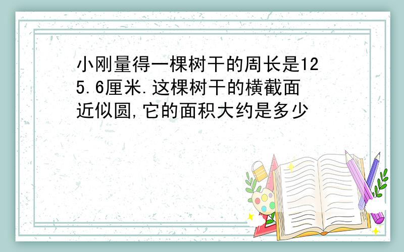 小刚量得一棵树干的周长是125.6厘米.这棵树干的横截面近似圆,它的面积大约是多少