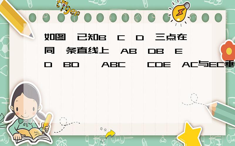 如图,已知B,C,D,三点在同一条直线上,AB⊥DB,ED⊥BD,△ABC≌△CDE,AC与EC垂直吗?请说明理由