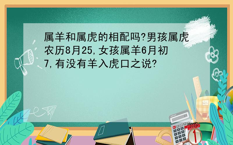 属羊和属虎的相配吗?男孩属虎农历8月25,女孩属羊6月初7,有没有羊入虎口之说?