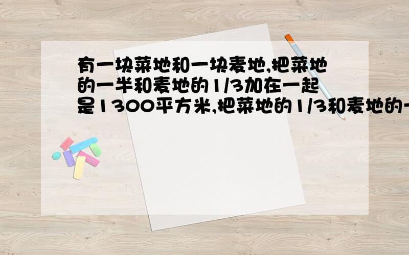 有一块菜地和一块麦地,把菜地的一半和麦地的1/3加在一起是1300平方米,把菜地的1/3和麦地的一半加在一起