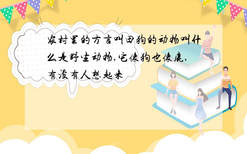 农村里的方言叫田狗的动物叫什么是野生动物,它像狗也像鹿,有没有人想起来