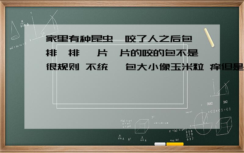 家里有种昆虫,咬了人之后包一排一排 一片一片的咬的包不是很规则 不统一 包大小像玉米粒 痒但是不疼 过一会就不痒了 阁着衣服也能被咬 好象会往里爬 开始以为是蚊子 后来觉得不是 因