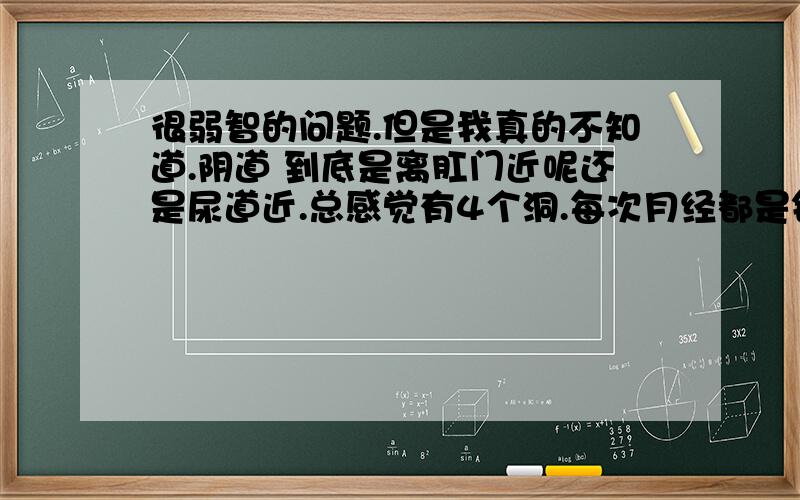 很弱智的问题.但是我真的不知道.阴道 到底是离肛门近呢还是尿道近.总感觉有4个洞.每次月经都是铁当中的那个洞洞（离尿道近）可是又有人说就在肛门附近.