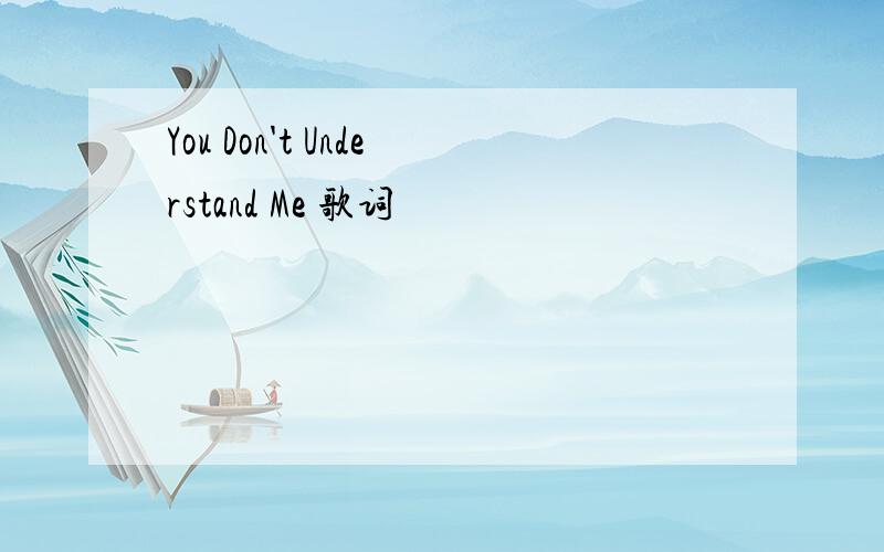 You Don't Understand Me 歌词