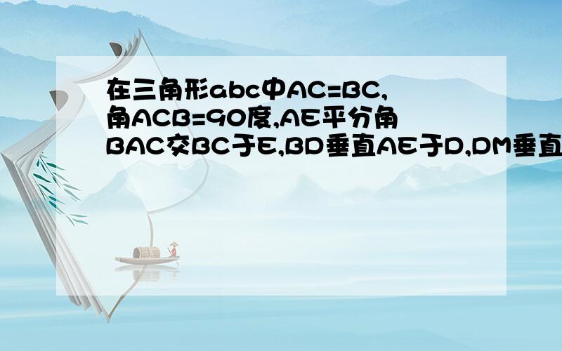 在三角形abc中AC=BC,角ACB=90度,AE平分角BAC交BC于E,BD垂直AE于D,DM垂直AC交AC的延长线于M连接CD,CD=BD,求证AC+AB=2AM