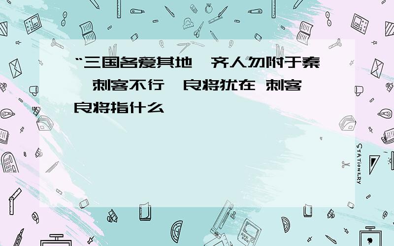 “三国各爱其地,齐人勿附于秦,刺客不行,良将犹在 刺客 良将指什么