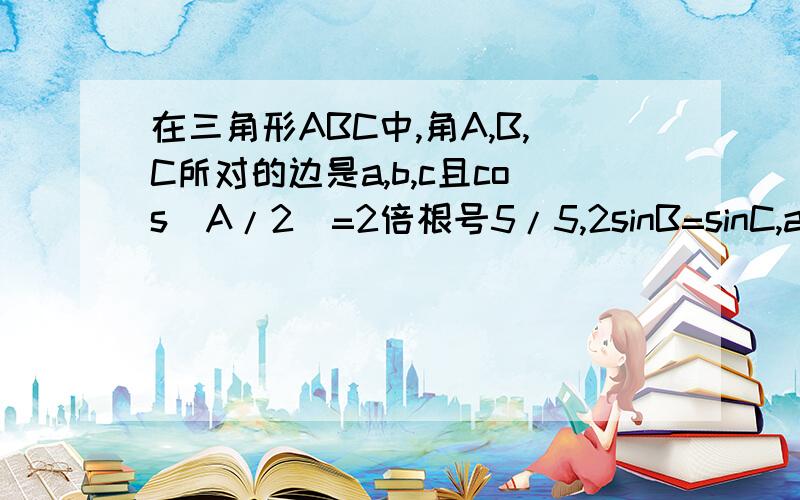 在三角形ABC中,角A,B,C所对的边是a,b,c且cos[A/2]=2倍根号5/5,2sinB=sinC,a=根号