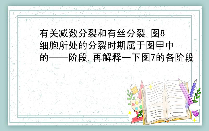 有关减数分裂和有丝分裂.图8细胞所处的分裂时期属于图甲中的——阶段.再解释一下图7的各阶段