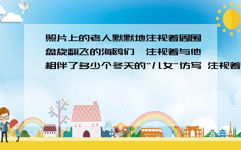 照片上的老人默默地注视着周围盘旋翻飞的海鸥们,注视着与他相伴了多少个冬天的“儿女”仿写 注视着（ ）.