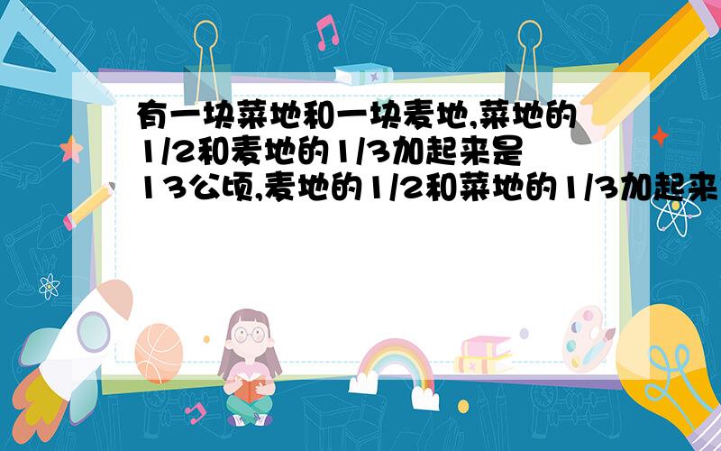 有一块菜地和一块麦地,菜地的1/2和麦地的1/3加起来是13公顷,麦地的1/2和菜地的1/3加起来是12公顷（看问有一块菜地和一块麦地,菜地的1/2和麦地的1/3加起来是13公顷,麦地的1/2和菜地的1/3加起来