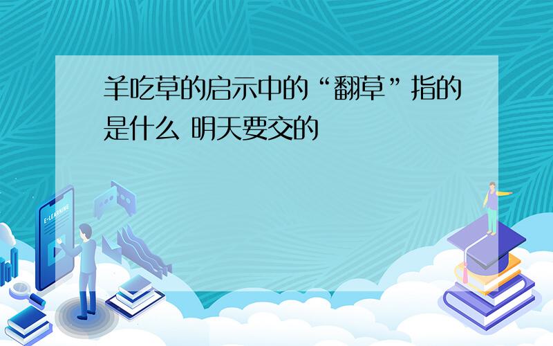 羊吃草的启示中的“翻草”指的是什么 明天要交的