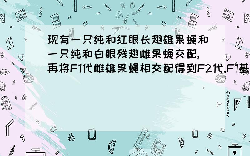 现有一只纯和红眼长翅雄果蝇和一只纯和白眼残翅雌果蝇交配,再将F1代雌雄果蝇相交配得到F2代.F1基因型为表现型为表现型为