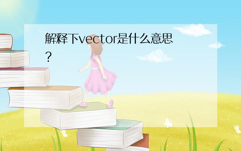 解释下vector是什么意思?