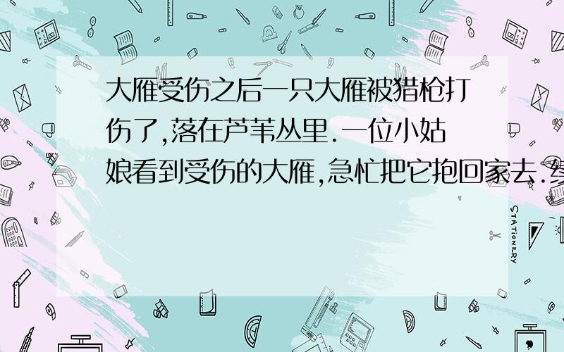 大雁受伤之后一只大雁被猎枪打伤了,落在芦苇丛里.一位小姑娘看到受伤的大雁,急忙把它抱回家去.续写 急——————————200字左右,急————————