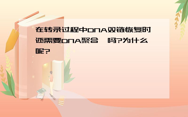 在转录过程中DNA双链恢复时还需要DNA聚合酶吗?为什么呢?