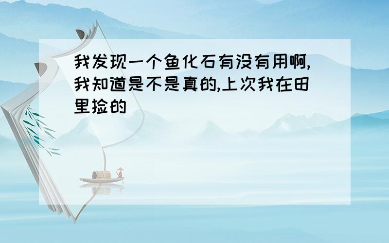 我发现一个鱼化石有没有用啊,我知道是不是真的,上次我在田里捡的