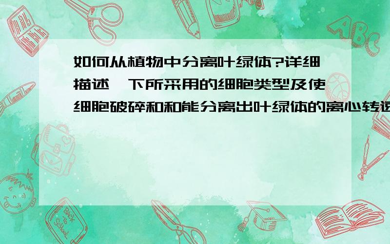 如何从植物中分离叶绿体?详细描述一下所采用的细胞类型及使细胞破碎和和能分离出叶绿体的离心转速!