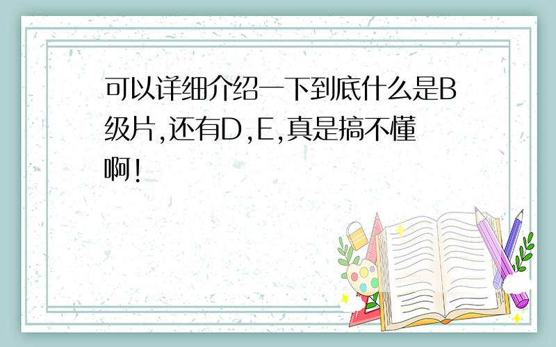 可以详细介绍一下到底什么是B级片,还有D,E,真是搞不懂啊!