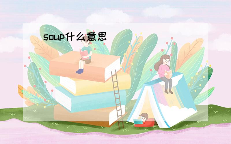 soup什么意思