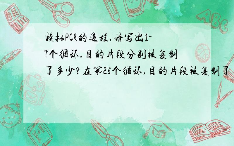 模拟PCR的过程,请写出1-7个循环,目的片段分别被复制了多少?在第25个循环,目的片段被复制了多少?