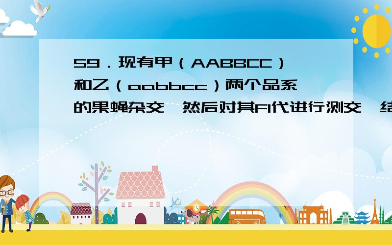 59．现有甲（AABBCC）和乙（aabbcc）两个品系的果蝇杂交,然后对其F1代进行测交,结果各表现型的个数如下