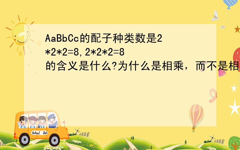 AaBbCc的配子种类数是2*2*2=8,2*2*2=8的含义是什么?为什么是相乘，而不是相加？