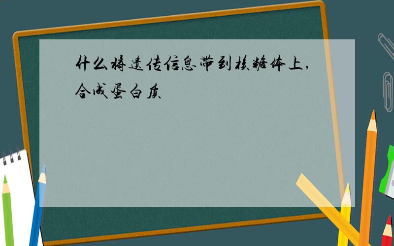 什么将遗传信息带到核糖体上,合成蛋白质