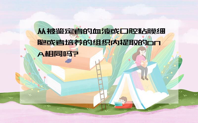 从被鉴定者的血液或口腔粘膜细胞或者培养的组织内提取的DNA相同吗?