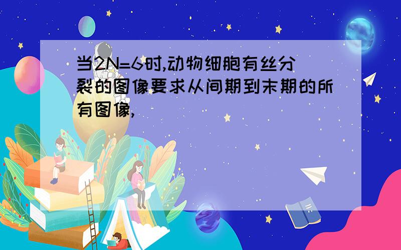 当2N=6时,动物细胞有丝分裂的图像要求从间期到末期的所有图像,