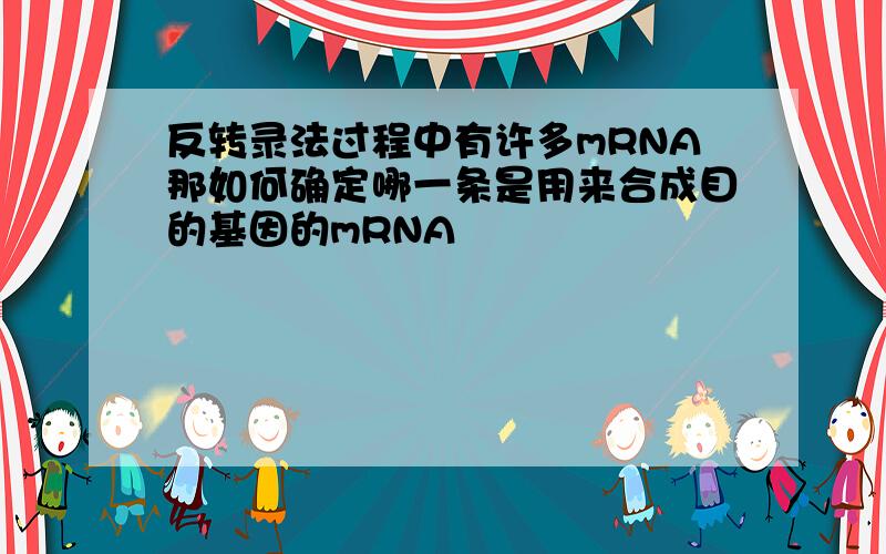 反转录法过程中有许多mRNA那如何确定哪一条是用来合成目的基因的mRNA