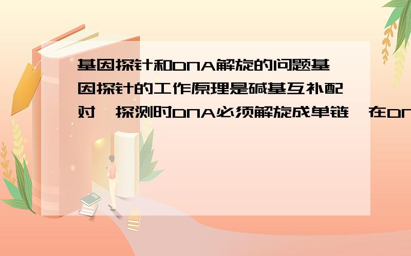 基因探针和DNA解旋的问题基因探针的工作原理是碱基互补配对,探测时DNA必须解旋成单链,在DNA解旋成单链的条件下,基因探针中的DNA怎么互补配对从而显示特征?还有个问题就是RNA反转录城DNA没